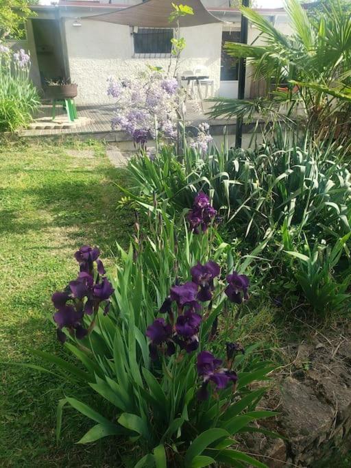 Studio Buena Vista Avec Terrasse Sur Jardin Bron Kültér fotó